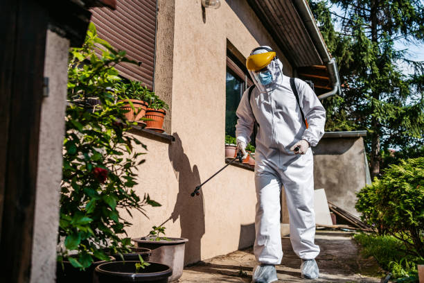 Best Best Pest Control Near Me  in Haskell, AR